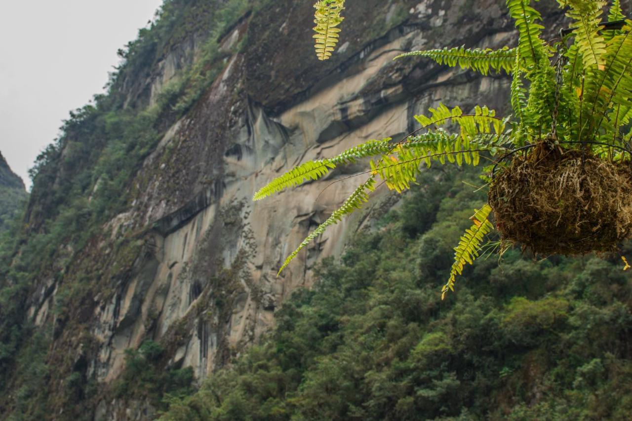 Runas Frühstückspension Machu Picchu
